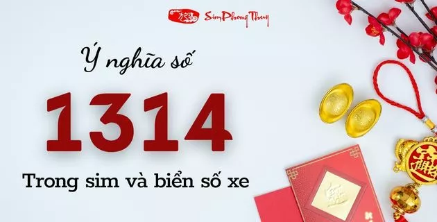 1314 là gì