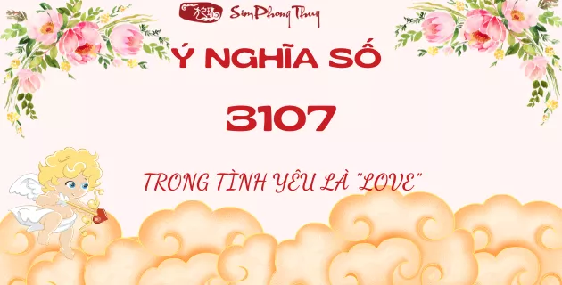 số 3107 nghĩa là gì