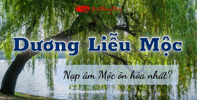 Dương Liễu Mộc (2002 - 2003): khái niệm và đặc điểm phong thủy