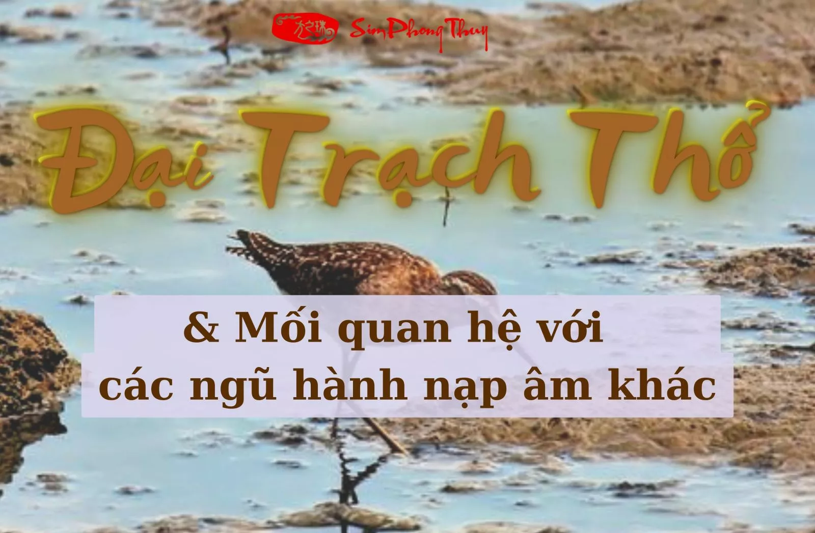 đại trạch thổ