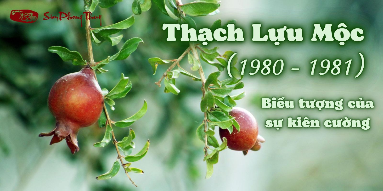 Thạch Lựu Mộc (1980, 1981): Biểu tượng cho sức sống mạnh mẽ