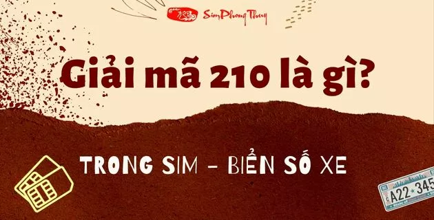 210 là gì