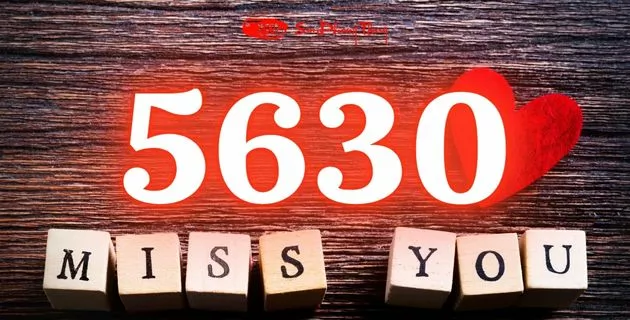 5630 nghĩa là gì trong tình yêu