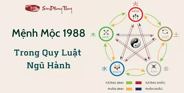 1988 mệnh gì