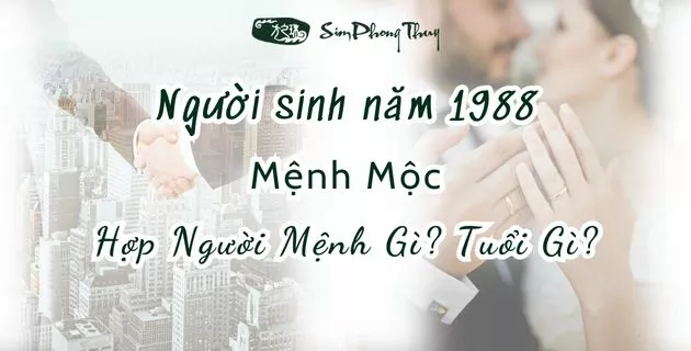 1988 mệnh gì hợp mệnh gì, tuổi gì