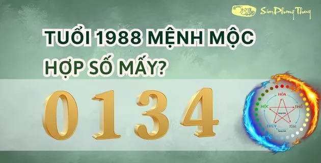 1988 mệnh gì hợp số mấy