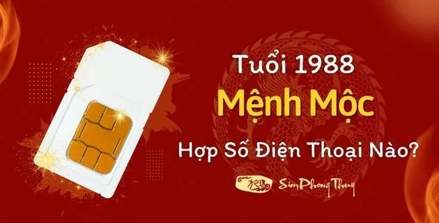 1988 mệnh gì hợp số điện thoại nào