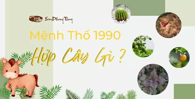 1990 hợp cây gì