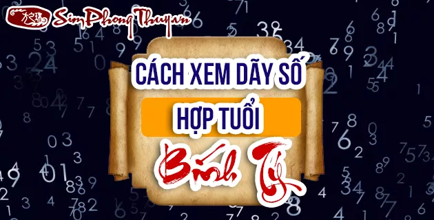 Cách xem dãy số hợp tuổi Bính Tý theo mục đích sử dụng