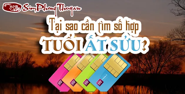 1985 hợp số nào