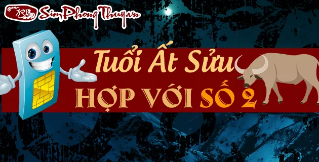 1985 hợp số nào