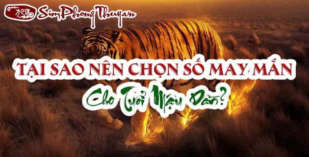 Tại sao nên biết tuổi mậu dần 1998 hợp số nào