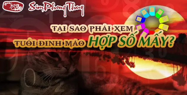 1987 hợp số nào