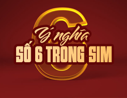 Số 6 có ý nghĩa gì? Đại diện con gì? Tốt hay Xấu trong phong thủy?