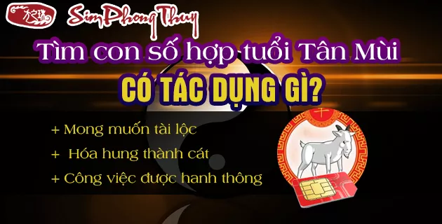 1991 hợp số nào