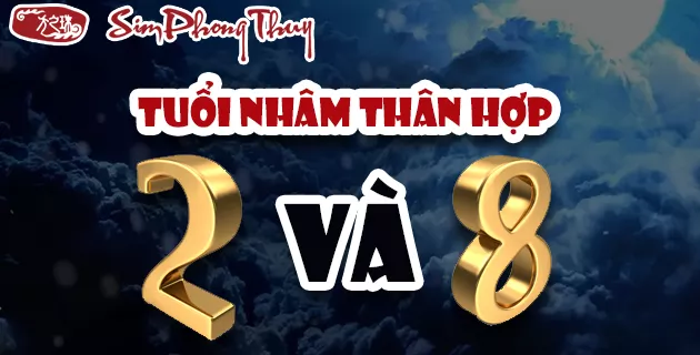 1992 hợp số 2 và số 8