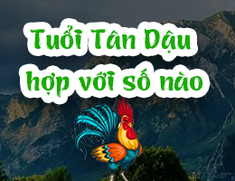 Lý giải tuổi Tân Dậu 1981 hợp với số nào chuẩn xác nhất?