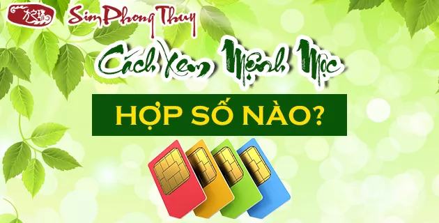 Mệnh Mộc hợp số nào