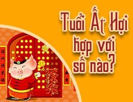 Nam nữ tuổi 1995 hợp số nào? Truy tìm con số hợp tuổi Ất Hợi hút may mắn?