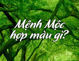 Nam nữ mệnh Mộc hợp màu gì năm 2025 nhất