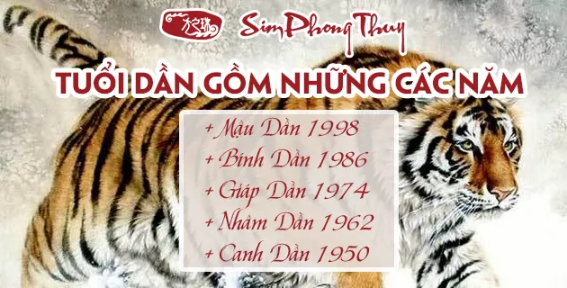 tuổi dần hợp màu gì