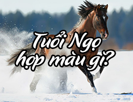 Tuổi Ngọ hợp màu gì năm 2025?