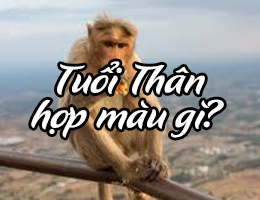 Tuổi Thân hợp màu gì năm 2025?