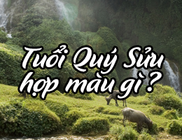 Sinh năm 1973 hợp màu gì? Chọn màu xe, màu sơn hợp tuổi Quý Hợi
