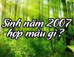 Sinh năm 2007 hợp màu gì?
