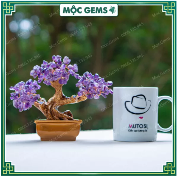 màu hợp tuổi Hợi 2007