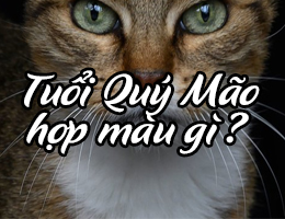 Sinh năm 1963 mệnh gì hợp màu gì năm 2025?