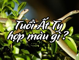 Sinh năm 1965 hợp màu gì năm 2025?