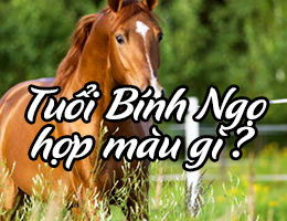 Tuổi Bính Ngọ sinh năm 1966 hợp màu gì năm 2025?