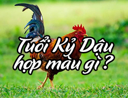 Nam nữ sinh năm 1969 hợp màu gì năm 2025?