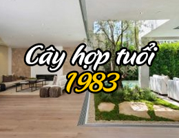 Cây hợp mệnh thủy 1983 nên trồng trước nhà, trong nhà, trên bàn làm việc?