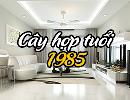 Tuổi Ất Sửu 1985 hợp cây gì năm 2025 theo phong thủy?