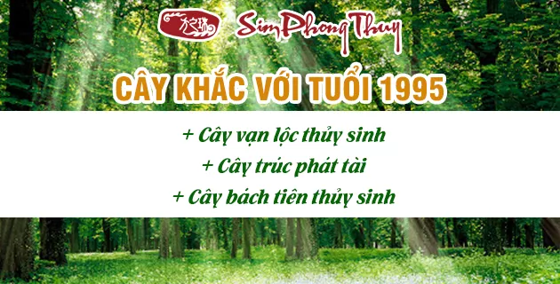 cây hợp tuổi 1995