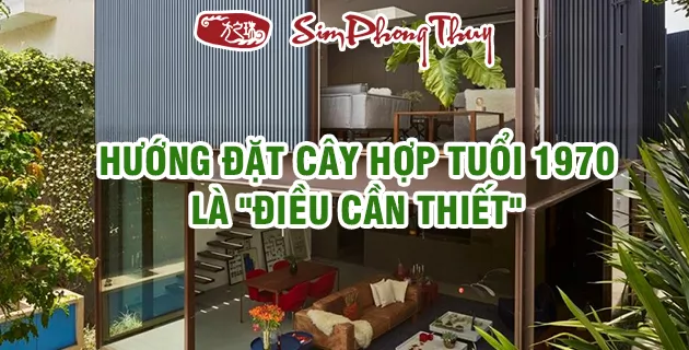 cây hợp tuổi 1970