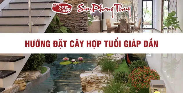 cây phong thủy hợp tuổi 1974