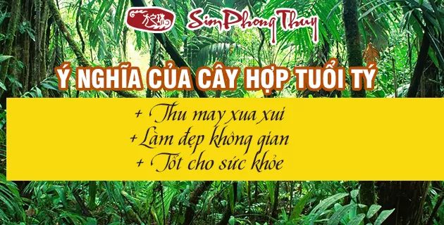 cây hợp tuổi tý