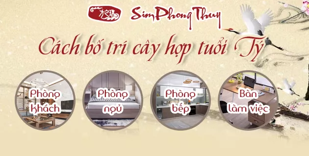 cây hợp tuổi tý