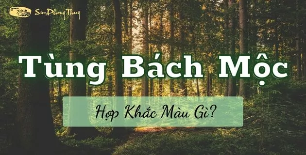 Tùng Bách Mộc