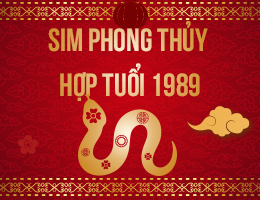 Sim phong thủy hợp tuổi 1989