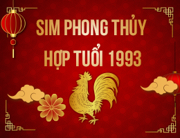 Hé Lộ Cách Chọn Số Điện Thoại Hợp Mệnh Kim 1993 Chuẩn Phong Thuỷ