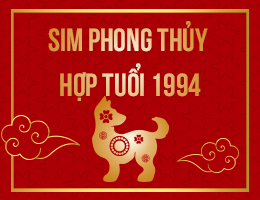 [Giáp Tuất] Nam Nữ Tuổi 1994 Hợp Số Điện Thoại Nào theo từng mục đích?