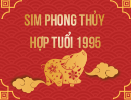 Tuổi 1995 Hợp Số Điện Thoại Nào? Cách Chọn Sim Tại Simphongthuy.Vn