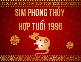 Tuổi Bính Tý 1996 Hợp Số Điện Thoại Nào Theo Phong Thuỷ?
