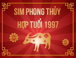 Quy Tắc Vàng Để Chọn Sim Hợp Tuổi 1997 - Kinh Nghiệm Từ Chuyên Gia