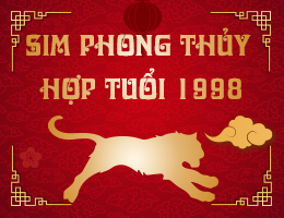Chuyên Gia Giải Đáp: Tuổi Mậu Dần 1998 Hợp Với Số Điện Thoại Nào?