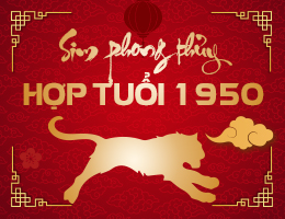 Sim phong thủy hợp tuổi 1950